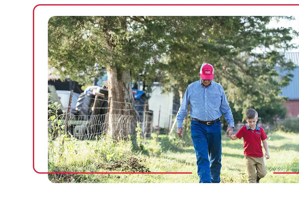 Grandfather walking on farm holding hand of young grandson